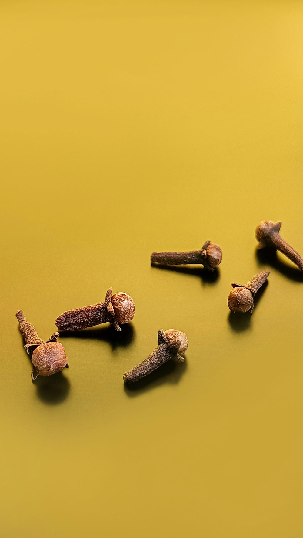 Dried organic herbs and loose-leaf tea botanicals